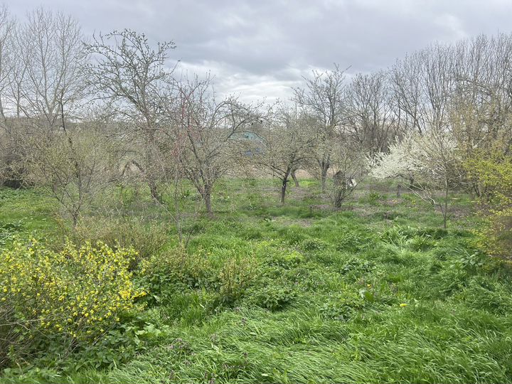 Дом 71,9 м² на участке 20 сот.