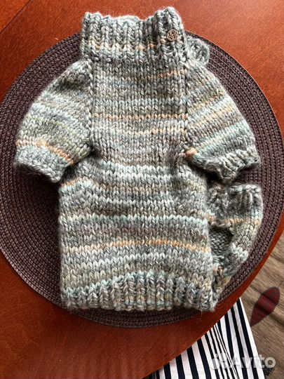 Комбинезон зимний доя таксы