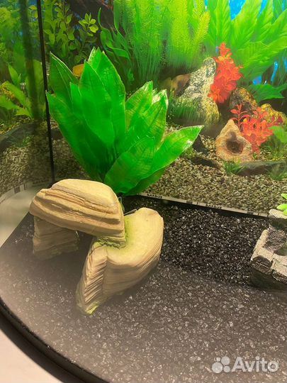 Аквариум 40 литров