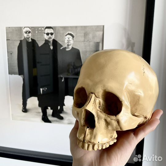 Череп реалистичный