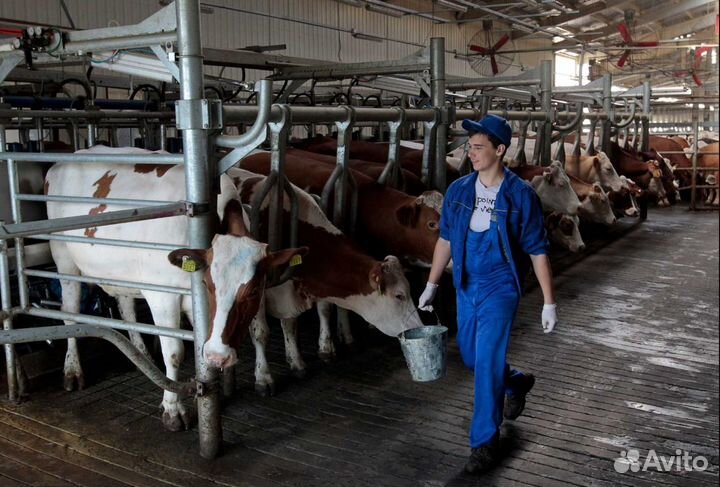 Разнорабочий на сельхозпредприятие