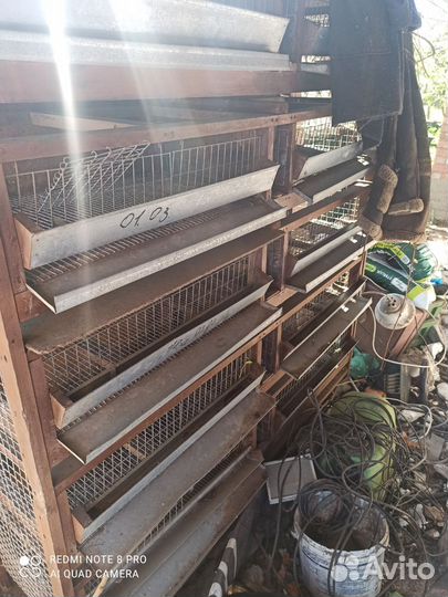 Клетки для перепелов бу