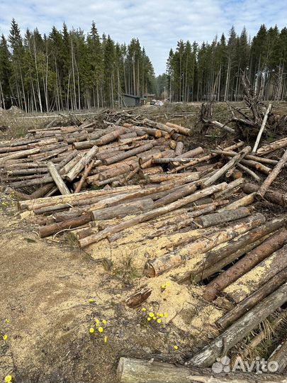 Дрова бесплатно самовывоз