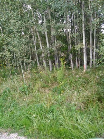 Участок 12 сот. (СНТ, ДНП)