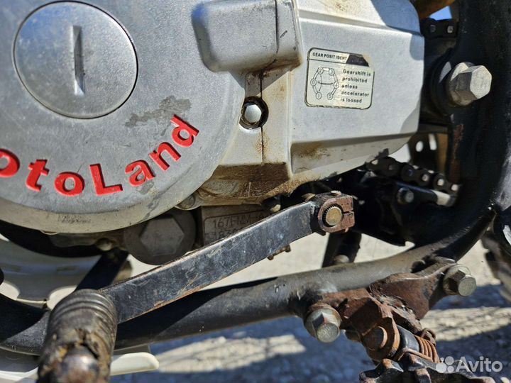 Motoland XR250 Light 167 Red
