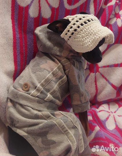 Новая кепка-панама для собачки