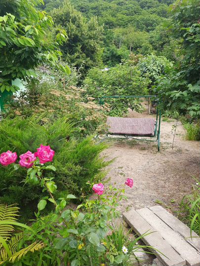 Комната 12 м² в 4-к., 1/1 эт.