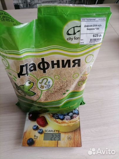 Дафния корм для рыб