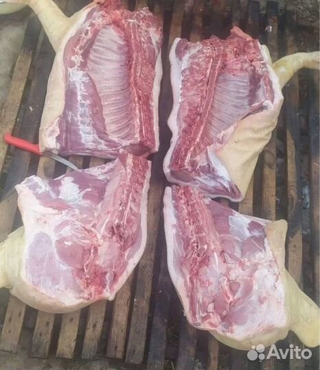 Мясо свинина домашняя, деревенская
