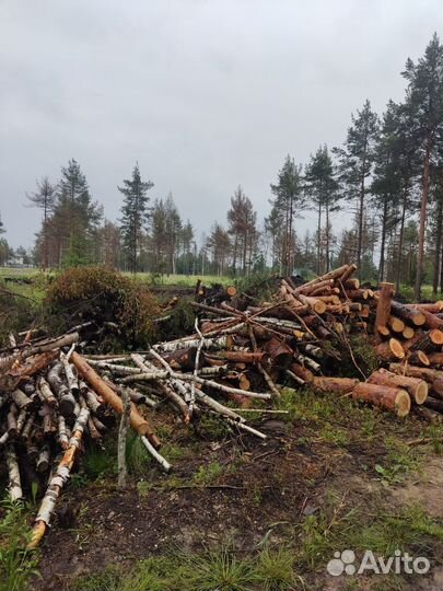 Дрова бесплатно самовывоз