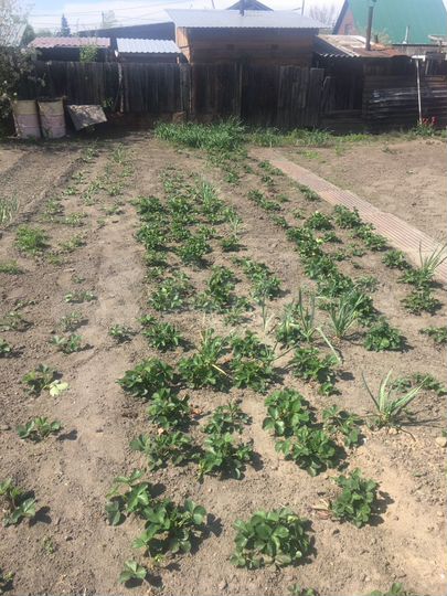 Дом 60 м² на участке 10 сот.