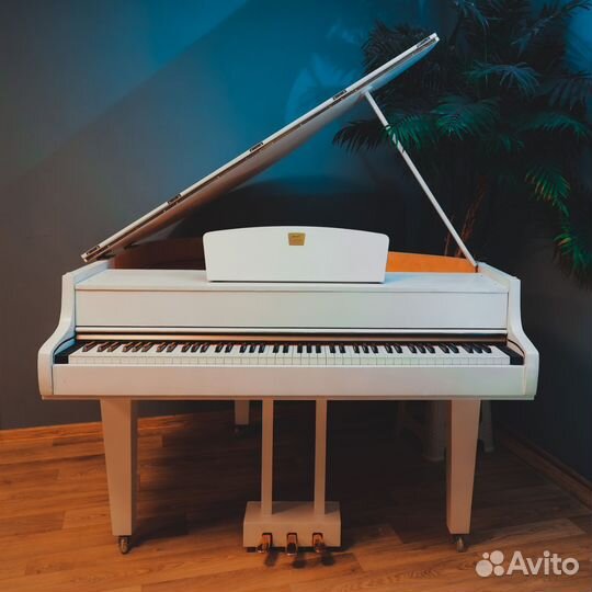 Цифровой рояль. Рояль на заказ