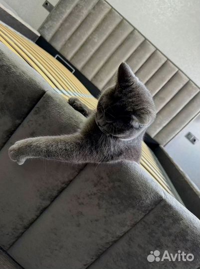 Кровать с мягким изголовьем