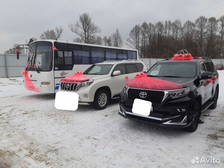 Украшения на свадебный кортеж