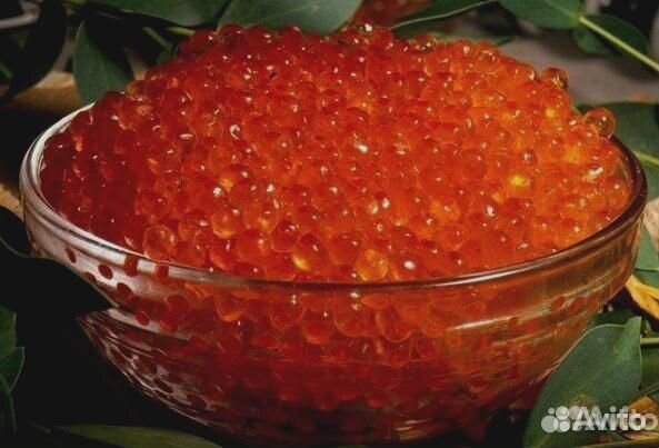 Икра форели