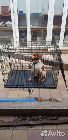 Клетка вольер для собак