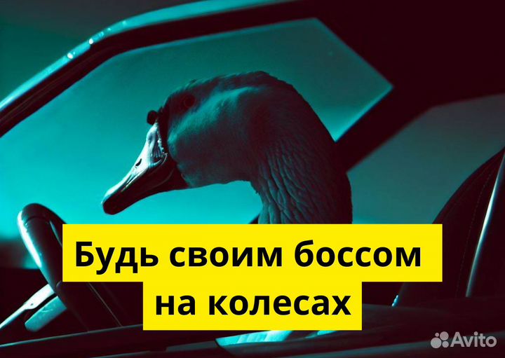 Яндекс.GO: водитель на своем т/с