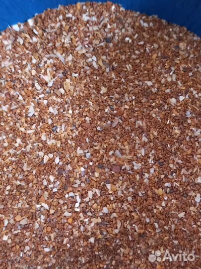 Ракушка кормовая