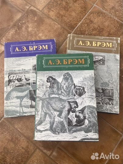 Энциклопедия Жизнь животных А. Э. Брэм 3 тома