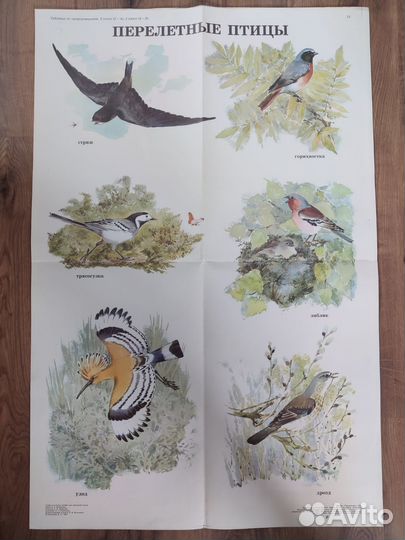 Советские учебные плакаты, иллюстрации к сказкам