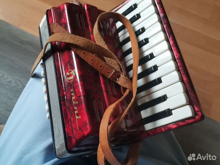 Аккордеон гармонь mini СССР