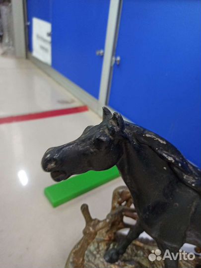 Конь у изгороди