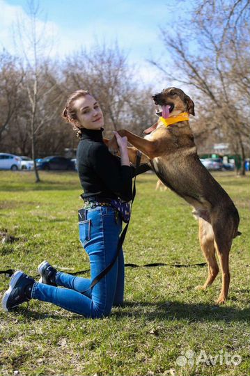 Волчок Август ищет маму