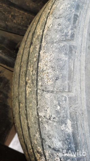 Continental ContiPremiumContact 5 205/55 R16