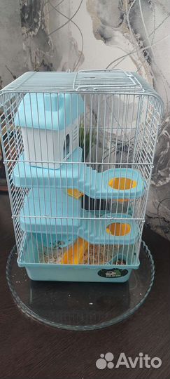 Клетка, джунгарик маленький