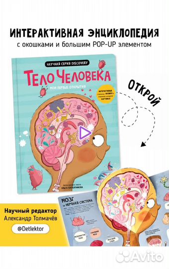 Книга с окошками Тело человека анатомия для детей