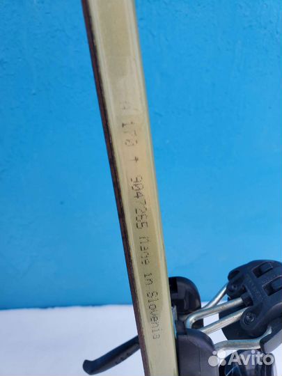 Горные лыжи nordica