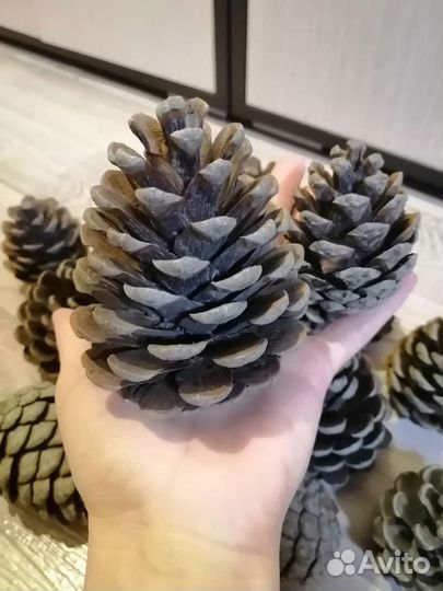 Шишки для поделок