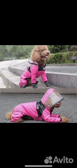 Одежда для средних собак