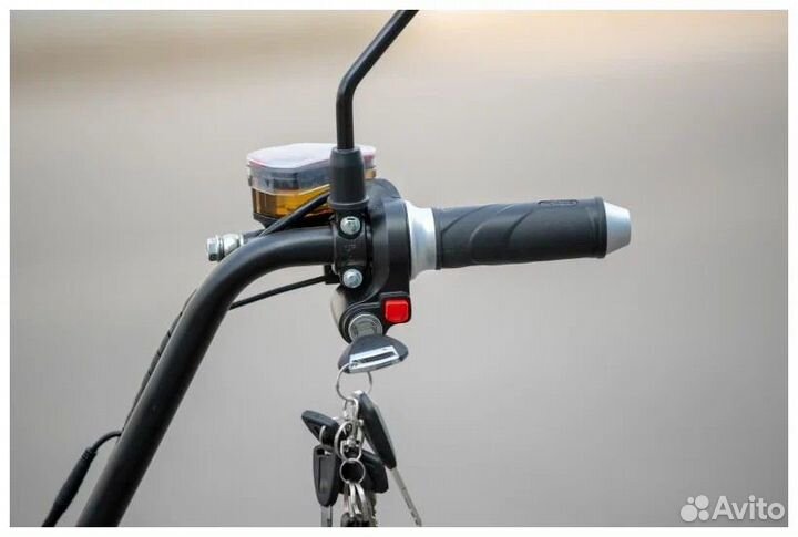 Электроскутер/Двухколесный электроскутер