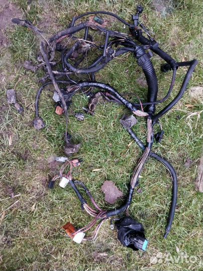 Коса проводки scenic 2