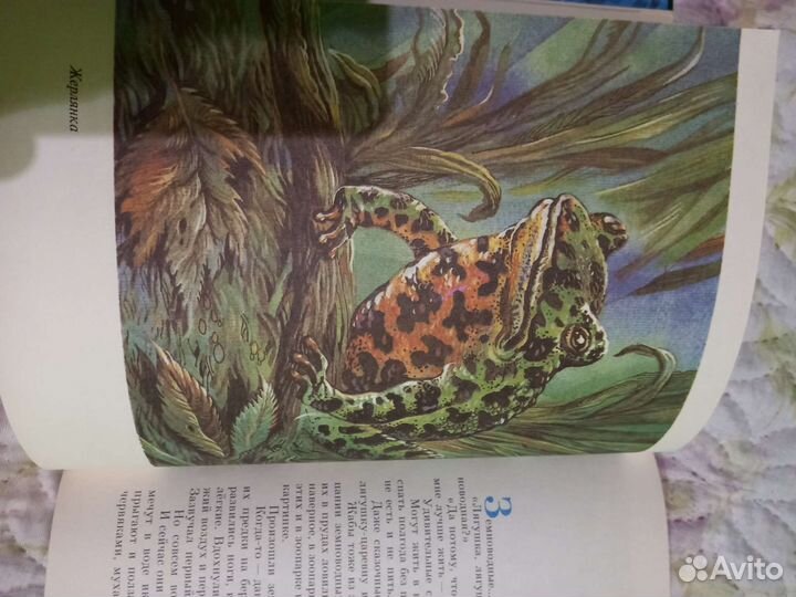 Книга о животном мире