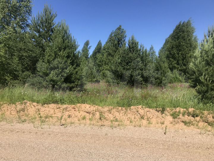 Участок 13 сот. (СНТ, ДНП)