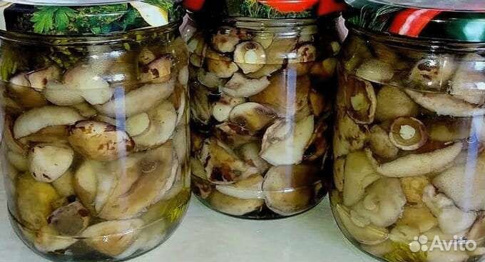 Грибы грузди соленые