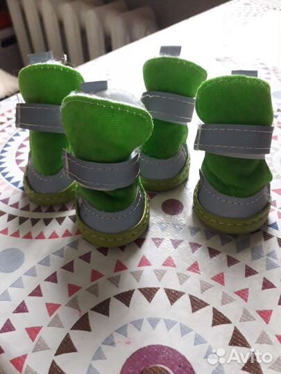 Ботинки для маленькой собачки