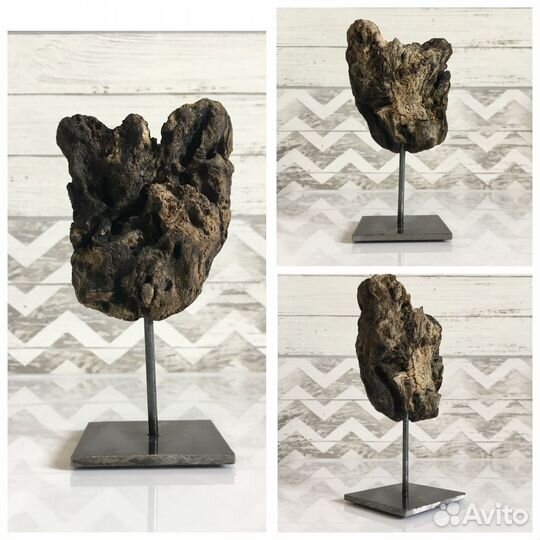 Тилландсия на подставке