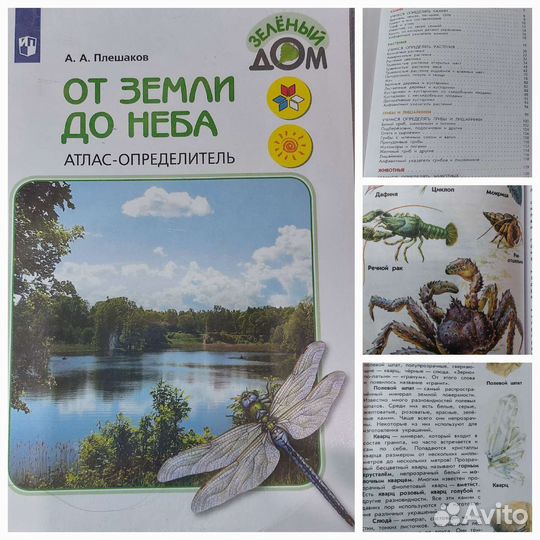 Книги учебники