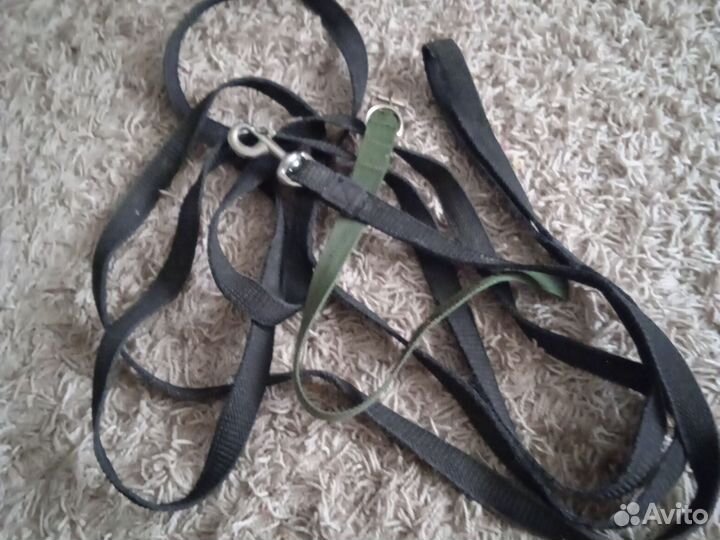 Ошейник и поводок 5 метров 2см ширина массажёр