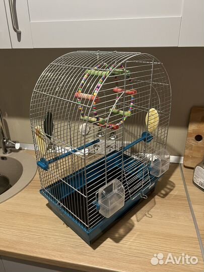 Клетка для попугая