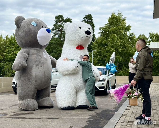 Белый мишка поздравление, ми ту ю, панда