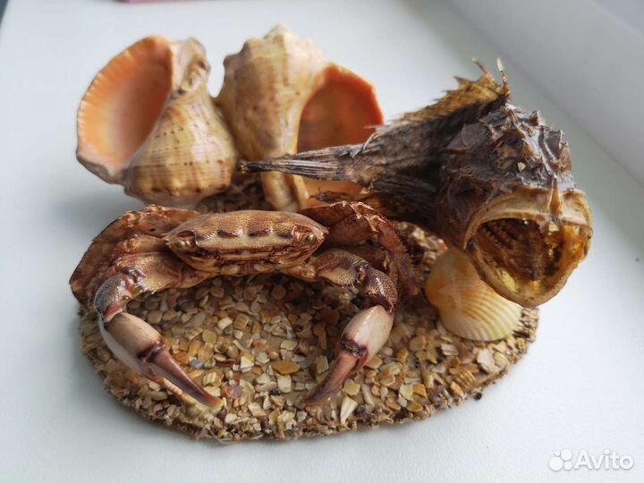 Морская скульптура