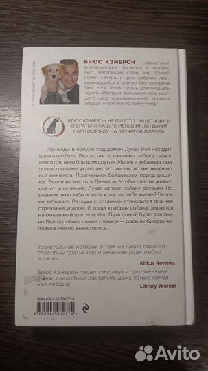 Брюс Кэмерон 