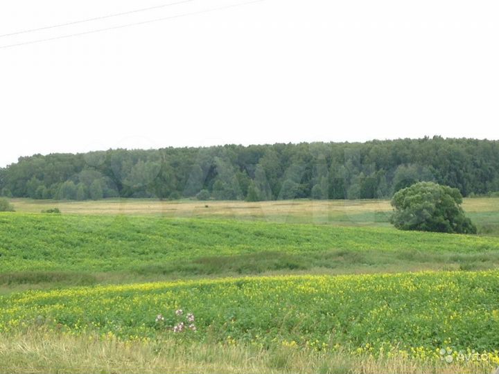 Участок 8 га (СНТ, ДНП)