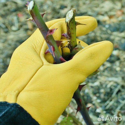 Перчатки садовые для роз Gold leaf