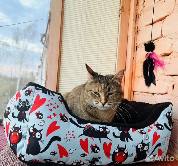 Марта ищет дом