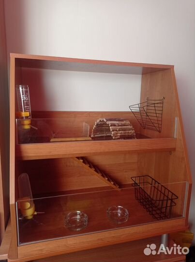 Витрина для морских свинок